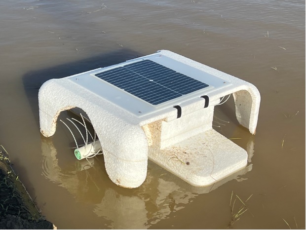 スマート農業を採り入れた日本の事例を紹介