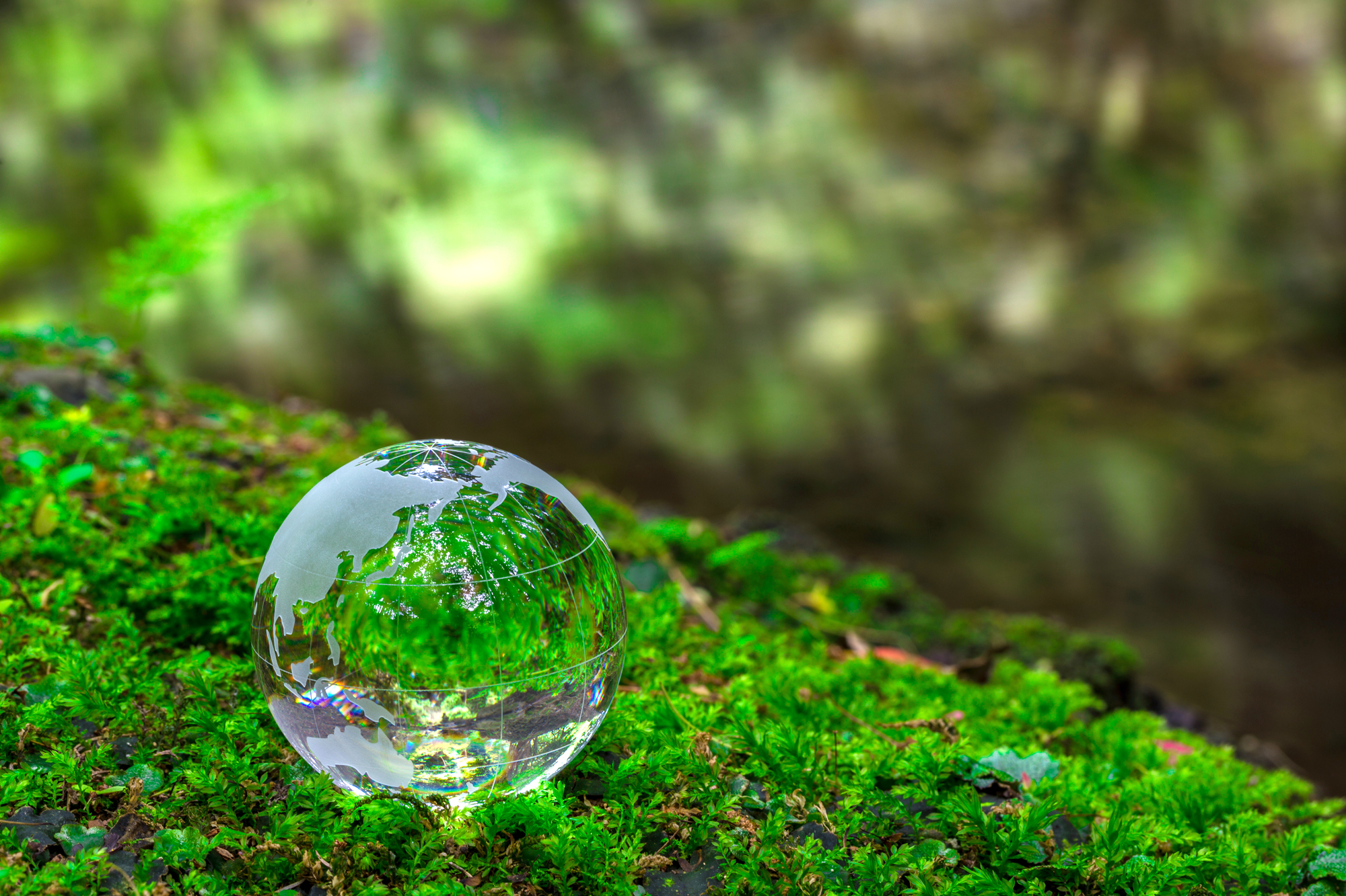 持続可能な森林経営管理のイメージ